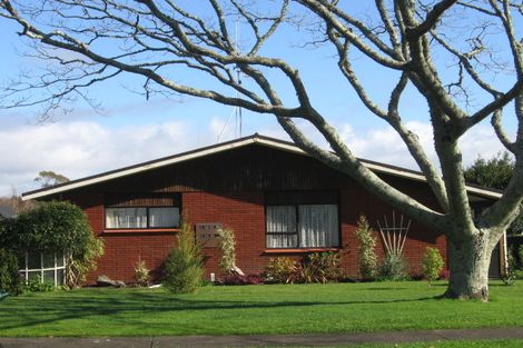 Photo of property in 113 Grace Road, Tauranga South, Tauranga, 3112