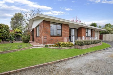 Photo of property in 129b Maungatapu Road, Maungatapu, Tauranga, 3112