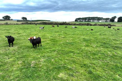 Photo of property in 170 Taramoa Road, Argyle Corner, Invercargill, 9874