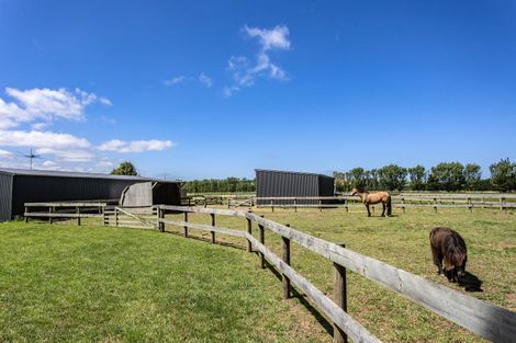 Photo of property in 3/340 Douglas Road, Amberley, 7482