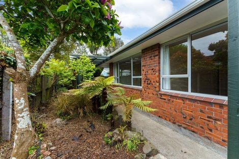 Photo of property in 1/144 Fisher Avenue, Beckenham, Christchurch, 8023