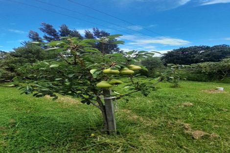 Photo of property in 31 Powells Road, Cable Bay, 0420