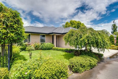 Photo of property in 609a York Street, Mahora, Hastings, 4120