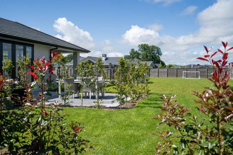 Photo of property in 362 Lamb Street, Leamington, Cambridge, 3495