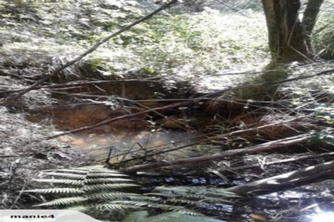 Photo of property in 234 Kerr Road, Parua Bay, Onerahi, 0192