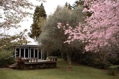 Photo of property in 441 Pukekauri Road, Waihi, 3682