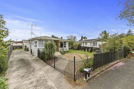 Photo of property in 156 Mahoe Street, Melville, Hamilton, 3206