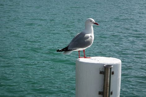 Photo of property in 92 North Road, Kaitaia, 0410