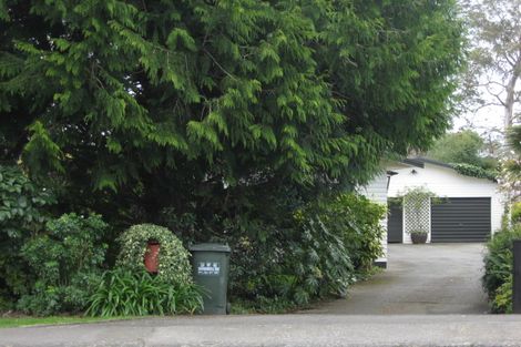 Photo of property in 37 Mchardy Street, Havelock North, 4130