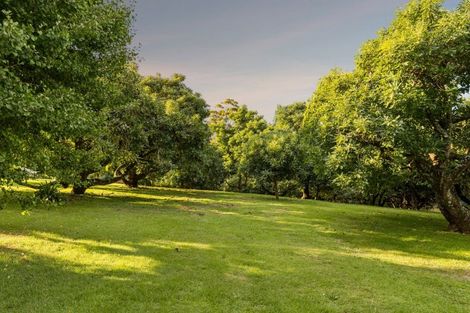 Photo of property in 241 Rea Road, Tahawai, Katikati, 3178