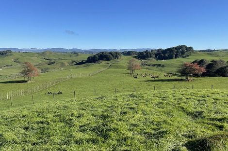 Photo of property in 80a Mangaotaki Road, Piopio, 3971