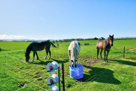 Photo of property in 47 Humphries Road, Waimumu, Gore, 9774