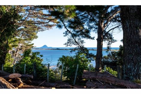 Photo of property in 107 Ohiwa Loop Road, Waiotahe, Opotiki, 3198