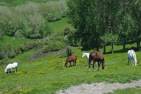 Photo of property in 44 Slater Road, Ruawaro, Huntly, 3772