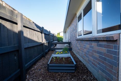 Photo of property in 7a Cornwall Street, Gate Pa, Tauranga, 3112