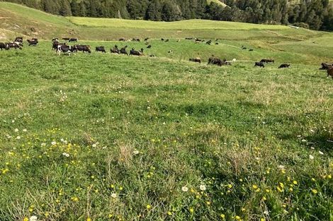 Photo of property in 755 Limeworks Loop Road, Karamu, Hamilton, 3285