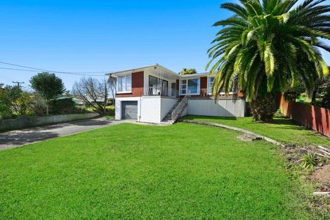 Photo of property in 139 Mahoe Street, Melville, Hamilton, 3206
