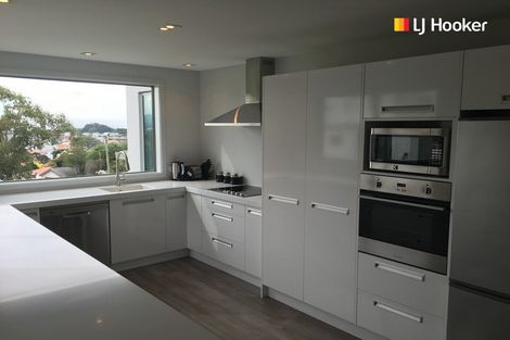 Photo of property in 20b Motu Street, Saint Clair, Dunedin, 9012