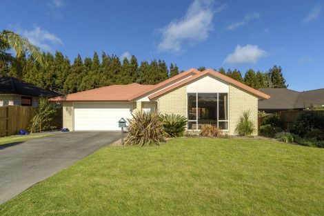 Photo of property in 16 Edwin Grove, Bethlehem, Tauranga, 3110