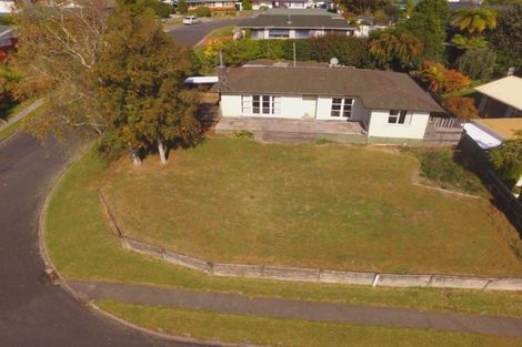 Photo of property in 1 Wavell Place, Putaruru, 3411