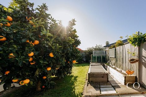 Photo of property in 59b Plateau Heights, Mount Maunganui, 3116