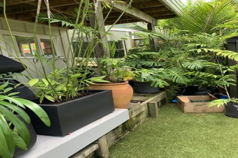 Photo of property in 14 Sackville Street, Fitzroy, New Plymouth, 4312