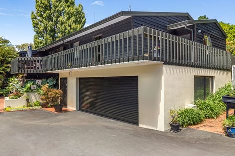 Photo of property in 23b Horne Street, Hamilton Central, Hamilton, 3204