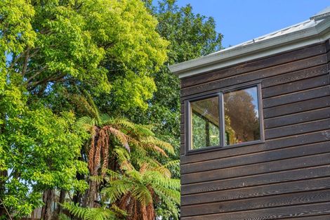 Photo of property in 59 Merivale Road, Parkvale, Tauranga, 3112