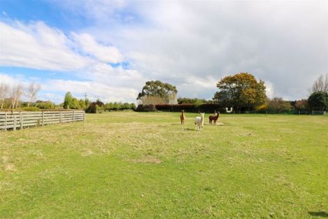 Photo of property in 135 Foley Road, Levels, Timaru, 7975