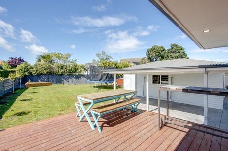 Photo of property in 3 Rakau Street, Havelock North, 4130