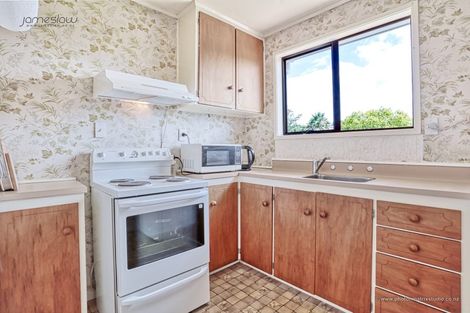 Photo of property in 87 Brunner Road, Glen Eden, Auckland, 0602