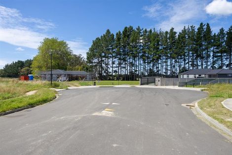 Photo of property in 20 Rayner Lane, Marton, 4710