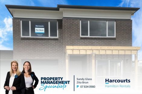 Photo of property in 47 Tennille Street, Flagstaff, Hamilton, 3210