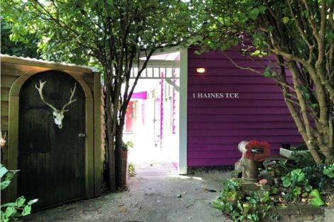 Photo of property in 1 Haines Terrace, Aro Valley, Wellington, 6021