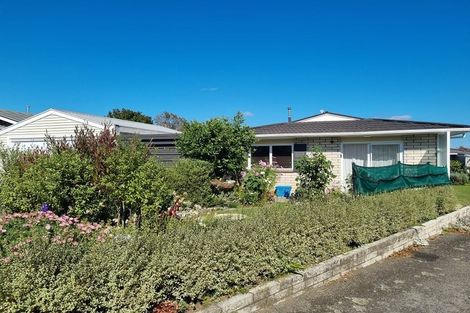 Photo of property in 22a Ballance Street, Lower Vogeltown, New Plymouth, 4310