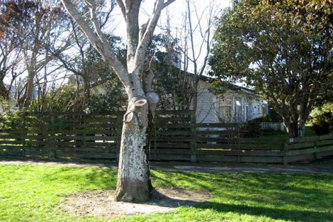 Photo of property in 50 Costley Street, Carterton, 5713