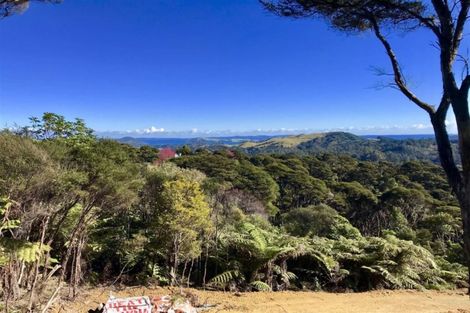Photo of property in 850 Buffalo Road, Coromandel, 3506