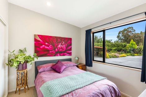 Photo of property in 29 Brook Street, Southbridge, 7602