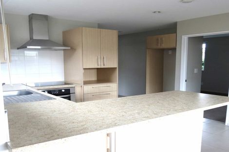 Photo of property in 48b North Avon Road, Richmond, Christchurch, 8013