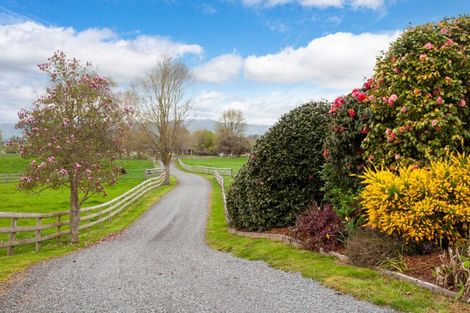 Photo of property in 115 Gunn Road, Matamata, 3472