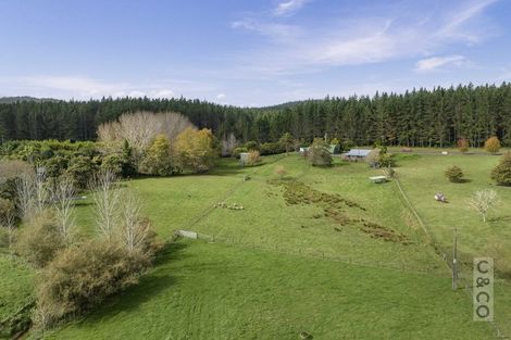 Photo of property in 293 Ararimu Valley Road, Helensville, Waimauku, 0882