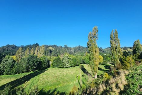 Photo of property in 289 Waitao Road, Waitao, Tauranga, 3175