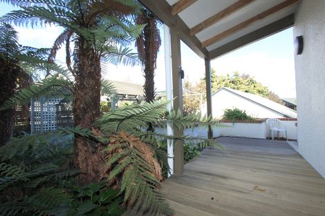 Photo of property in 3 Harvey Place, Renwick, 7204