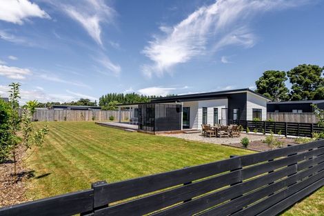 Photo of property in 52d Taranaki Street, Kuripuni, Masterton, 5810