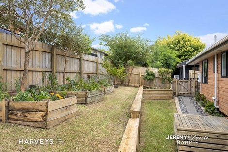 Photo of property in 66c Woodglen Road, Glen Eden, Auckland, 0602