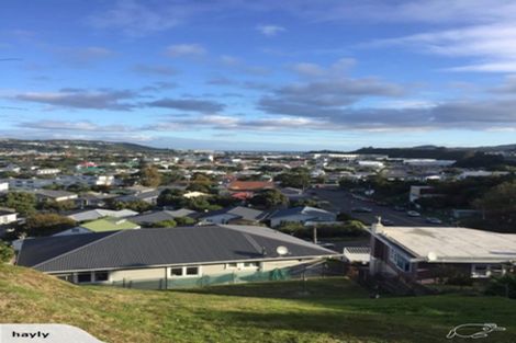 Photo of property in 117 Tauhinu Road, Miramar, Wellington, 6022