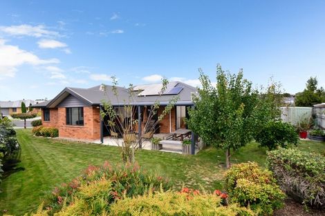 Photo of property in 14 Edward Street, Grandview Heights, Hamilton, 3200