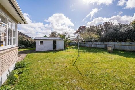 Photo of property in 25 Middlesex Street, Levin, 5510