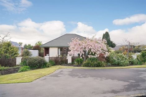 Photo of property in 42 George Street, Rangiora, 7400