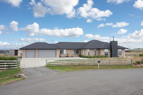 Photo of property in 25 Fallow Avenue, Feilding, 4775